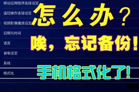 手机格式化了，忘记备份怎么办？怎么恢复数据文件？视频封面