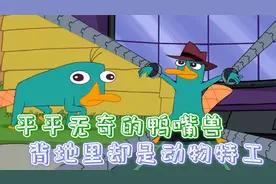 低智商宠物隐藏真实身份，平平无奇的鸭嘴兽，其实是个动物特工视频封面