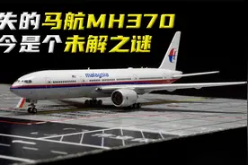 当年消失的马航MH370，至今是个未解之谜，难道是外星人所为？视频封面
