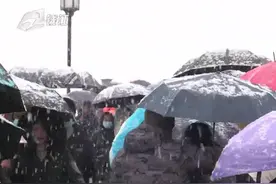 杭州下起鹅毛大雪，“断桥”的雪被打卡的游客踩“残”了视频封面