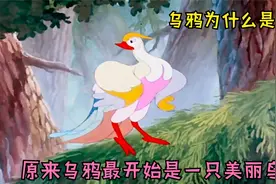 原来乌鸦最开始并不是黑色的，而是一只歌喉动听的美丽鸟！视频封面