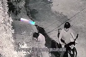 监控下难以置信画面：情侣深夜突然停车，监控拍下他们的丢人瞬间视频封面