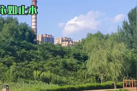 花店不是为了花才开，但是我却是为了你才来的，一起享受音乐吧。视频封面