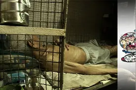 香港贫民窟影像记录，20户家庭共用一个厕所，晚上就睡在笼子里视频封面