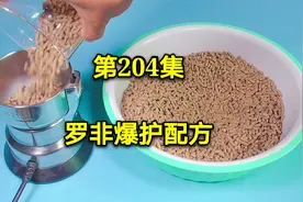 野钓大罗非的饵料配方，钓一次鱼成本仅需1元，让你轻松爆护20斤视频封面
