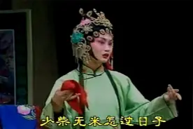 盘点山东吕剧精彩唱段，李二嫂改嫁、借年、王定保借当，百听不厌视频封面