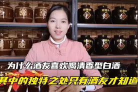 为什么很多人喜欢喝清香型白酒？视频说得很详细，难怪酒友喜欢喝视频封面
