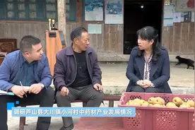 雅安市委副书记、市长彭映梅赴芦山县调研视频封面