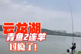 云龙湖10米竿15米线，流氓钓组连竿青鱼，真的是一寸长一寸强！视频封面