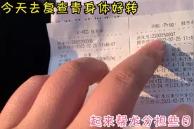 青去复查身体有所好转，龙脸上也多了些笑容，干起农活更起劲了视频封面