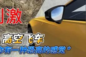 高空飞车，让你有一种恐高的感觉，极度解压！视频封面