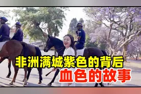 探索非洲最浪漫花树背后的殖民血泪史视频封面