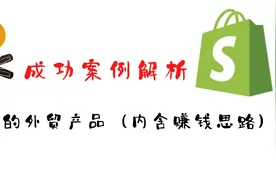 你不得不服的外贸小众产品（内含赚钱思路）|成功案例解析视频封面