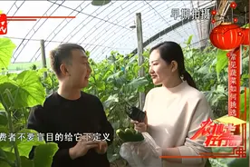 【农博士】专家教你如何挑选黄瓜