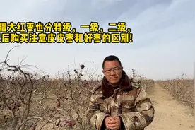 新疆大红枣也分特级级一级二级 以后购买注意皮皮枣和好枣的区别视频封面
