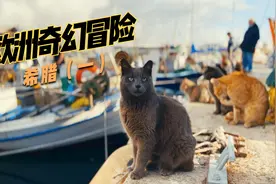从土耳其进入希腊的第一天，码头的流浪猫是想告诉我什么秘密？视频封面