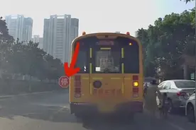 司机遇校车伸“停”停车礼让，后方数车左侧通行引热议，交警科普视频封面