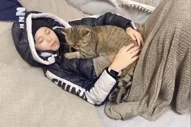 南方入冬后天天降温，平时再高冷的猫咪也冷得直往主人怀里钻视频封面