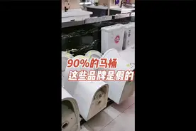 90%的马桶这些品牌是假的视频封面