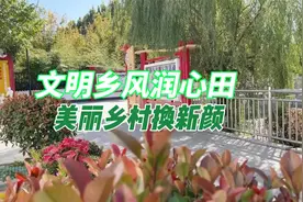 更济宁 | 文明乡风润心田 美丽乡村换新颜视频封面
