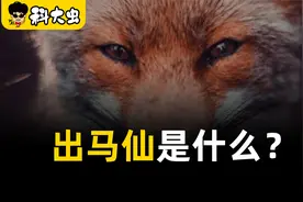 出马仙是什么？不能真正用科学证明的存在视频封面