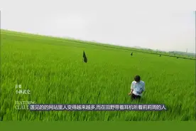 【关于莉莉周的一切】电影解说视频封面