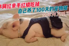 日本网红亲手吃掉，自己养了100天的宠物， 惨遭全球网友唾骂！视频封面