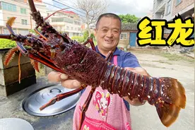 1550买3条“红龙”，碳烤肉质Q弹鲜美，从没吃过这么好吃的龙虾视频封面