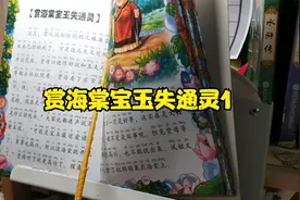 四大名著#红楼梦97 赏海棠宝玉失通灵1视频封面