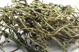 72集辛香料连播——第五十八集灵草视频封面