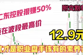 全网第一人，职业操盘手8块左右重仓仁东控股，12.9最高价离场视频封面