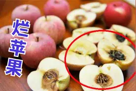 烂掉的苹果先别扔，越烂越“值钱”，厉害用途家家实用，涨知识了视频封面