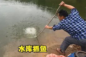 白条这样抓才过瘾，大叔拿抄网往水里猛抄下去，一会儿就抓了两斤视频封面