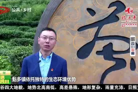 主播看四川（55）甘孜九龙县视频封面