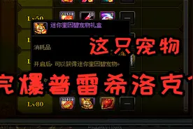 DNF：永恒大陆加算成功率宠物迷你奎因碧，几乎完爆普雷希洛克？视频封面