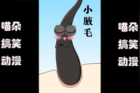 脑洞动漫：我是一个强壮的小腋毛，我想问问主人为什么不爱我？！视频封面
