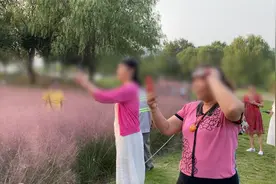 大妈花海中拍照踩出多条小道 全然不顾管理员劝阻,还叫同伴“上”视频封面