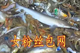 北京女粉丝凑热闹包船出海捕鱼，起网后海货盆满钵满，看着乐坏了视频封面