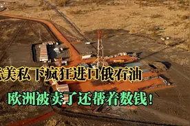 老美私下疯狂进口俄石油，欧洲被卖了还帮着数钱！老美是真的狗视频封面