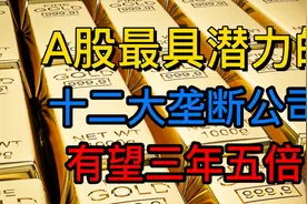 A股最具潜力的十二大垄断公司，有望三年五倍！视频封面
