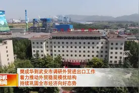 樊成华到武安市调研外贸进出口工作视频封面