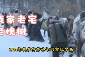 我家老宅老槐树视频封面
