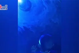 游客手机拍景区激光灯致摄像头损坏 工作人员：目前在处理中视频封面