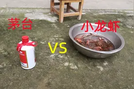 小龙虾里面的“寄生虫”你见过吗?用60℃的白酒逼出来，大家看看视频封面