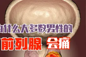艾嘉仁｜为什么大多数男性前列腺会痛视频封面