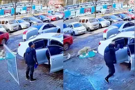 惊险！男子刚走出店门，楼上坠落的玻璃窗从身后砸落 警方回应视频封面