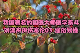 我国著名的国医大师医学泰斗 刘渡舟讲伤寒论03 通俗易懂视频封面