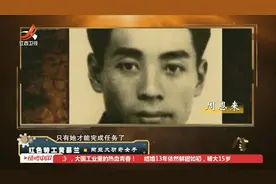 国民党抓捕关向应，周总理得知后，决定派黄慕兰前往营救视频封面