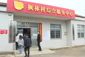 澧县领导走访重点帮扶村视频封面