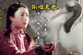 朱哲琴《一个真实的故事》齐齐哈尔女孩救鹤牺牲，每次听不禁落泪视频封面